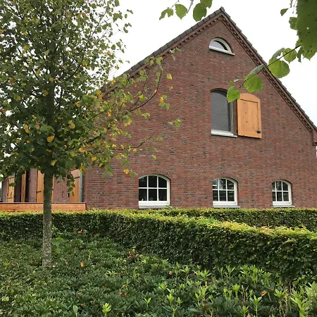 Bed & Breakfast De Moffelhoeve Udenhout