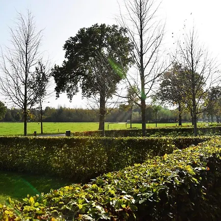 Bed & Breakfast De Moffelhoeve