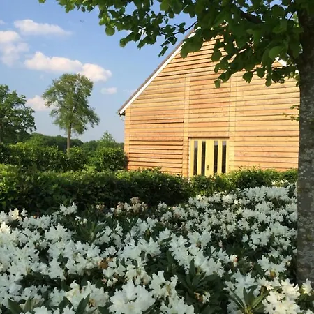 Bed & Breakfast De Moffelhoeve Udenhout