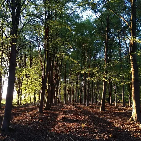 De Moffelhoeve * Udenhout